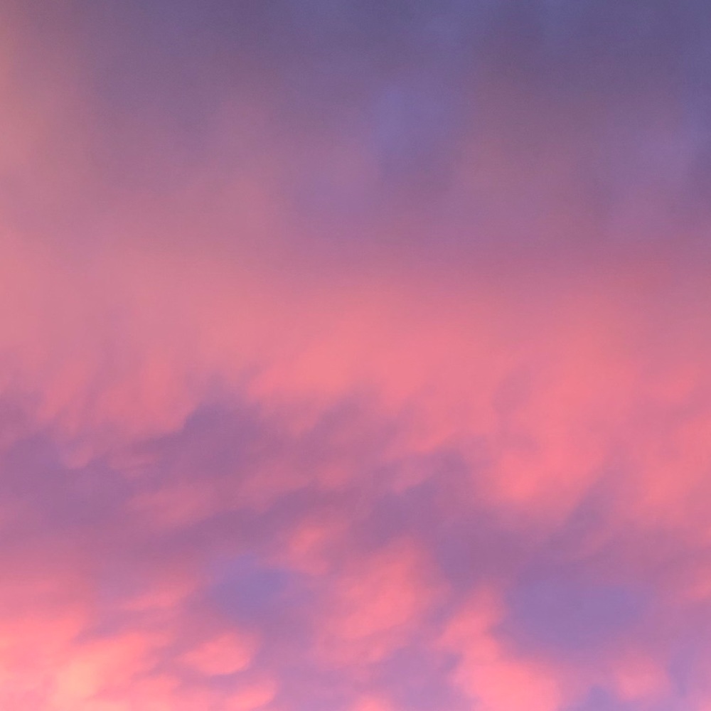 Meet your Posher, Elle